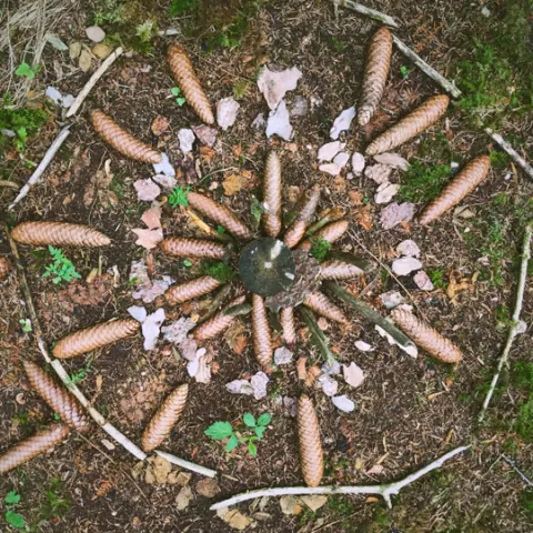 Naturcoaching_Mandala